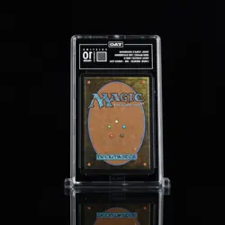 Tidus, Yuna's Guardian (Borderless) (Surge Foil) TAG 10 - Image 2