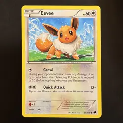 Eevee - 89/116 - Plasma Freeze - Pokemon - Common - Damaged - Image 1