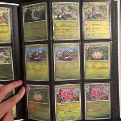 Pokemon Perfect Order Complete Master Base Set all reverse/holo, EX + 6 - Image 2
