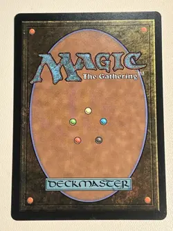 MTG - Training Grounds (Borderless) - Avatar: The Last Airbender - M/NM - Magic - Image 2