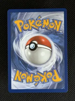 Litten MEP044 First Partner's Promo Near Mint Pokemon TCG - Image 2