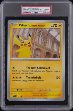 PIKACHU AT THE MUSEUM PKMN X NATURAL HISTORY-JMB Pokemon Mega Evolution PSA 8.0 - Image 1