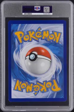 PIKACHU AT THE MUSEUM PKMN X NATURAL HISTORY-JMB Pokemon Mega Evolution PSA 8.0 - Image 2