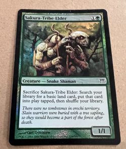 Foil - Sakura-Tribe Elder - Champions of Kamigawa - MTG - Magic the Gathering - Image 2