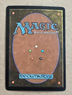Foil - Sakura-Tribe Elder - Champions of Kamigawa - MTG - Magic the Gathering - Image 3