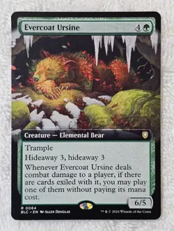 MTG Evercoat Ursine (Extended Art) #64 Bloomburrow (BLB) Magic Card Rare NM - Image 2