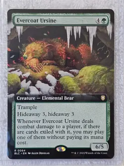 MTG Evercoat Ursine (Extended Art) #64 Bloomburrow (BLB) Magic Card Rare NM - Image 5