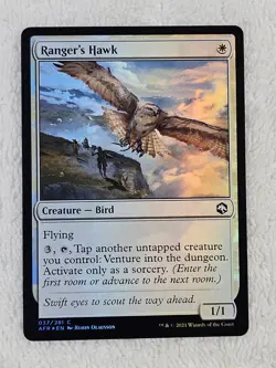 MTG Ranger's Hawk FOIL - Adventures in the Forgotten Realms # 37 NM - Image 2