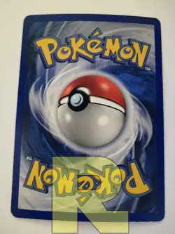 Minun ® Trainer Kit 6/12 ® Rara Holo Foil ® Pokemon ® Italiano ® EX - Image 3