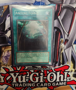 Yu-Gi-Oh! Ancient Forest ANPR-EN048 Super Rare - Image 1