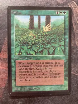 *** BETA Kudzu *** EX+ Clean! - DUTY PAID - Vintage Magic MtG - Image 1