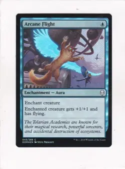 Magic: MTG: Dominaria: Foil: Arcane Flight - Image 1