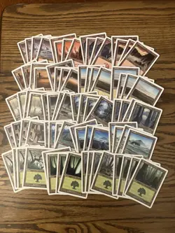 Mtg 7th Edition Basic Land Lot x80 Magic the Gathering 7th Lands 4x Each Art LP - Image 1