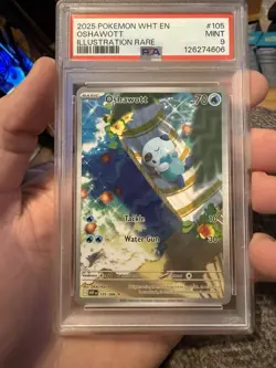 148931123 Oshawott 2025 Pokemon White Flare #105 Illustration Rare PSA 9 - Image 1