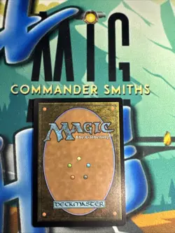 Meticulous Archive 🔥 NonFOIL 🔥 MTG NM Near Mint Murders at Karlov Manor (0264) - Image 2