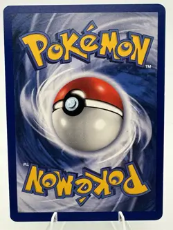 Pokemon Seel 1st Edition Base Set (041/102) Shadowless WOTC 1999 - Image 2