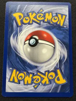 Pokemon Seel 1st Edition Base Set (041/102) Shadowless WOTC 1999 - Image 4