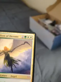 MTG 1x Sigarda Host of Herons - Avacyn Restored OVERSIZED Mythic LP - Image 3