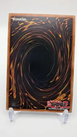 The King of D. LCKC-EN107 Legendary Collection Kaiba Yu-Gi-Oh - Image 2