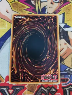 Raidraptor - Stranger Falcon macr-en044 Unltd Ed (NM+) Rare Yu-Gi-Oh! - Image 2