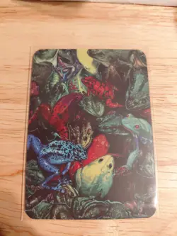 Sorcery Contested Realm Plague Of Frogs Beta Foil - Image 2