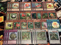 Naturia Stun Deck Core 🔥 40 CARDS 🔥 Yugioh Yu-Gi-Oh MAI Barkion Beast - Image 1