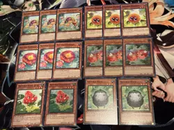 Naturia Stun Deck Core 🔥 40 CARDS 🔥 Yugioh Yu-Gi-Oh MAI Barkion Beast - Image 3