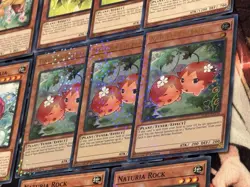 Naturia Stun Deck Core 🔥 40 CARDS 🔥 Yugioh Yu-Gi-Oh MAI Barkion Beast - Image 4