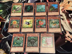 Naturia Stun Deck Core 🔥 40 CARDS 🔥 Yugioh Yu-Gi-Oh MAI Barkion Beast - Image 5