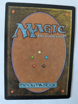 Winding Canyons Weatherlight MTG Exc Free shipping with tracking - Image 2