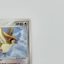 Pidgeot - 073/PCG-P 073/PCG-P PCG-P Promotional cards Regular (Japanese) - Image 4