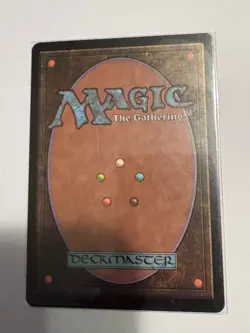 MTG - Misty Rainforest - Zendikar - NM - Image 2