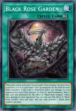 DOOD-EN055 Black Rose Garden Ultra Rare 1st Ed YuGiOh Preorder - Image 1