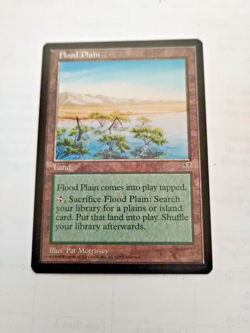 MTG Flood Plain Mirage Regular Uncommon - Uncirculated - Image 1