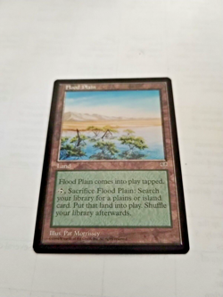 MTG Flood Plain Mirage Regular Uncommon - Uncirculated - Image 2