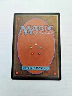 MTG Flood Plain Mirage Regular Uncommon - Uncirculated - Image 3