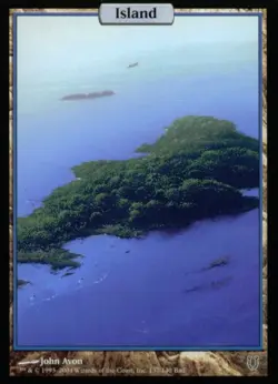 Island (137) - Light Play MTG Unhinged - Image 1