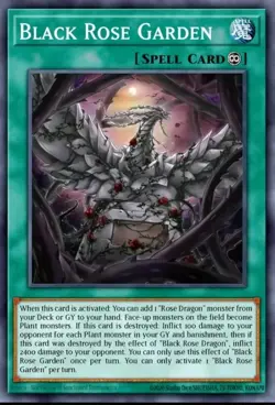 Yugioh Black Rose Garden DOOD-EN055 1st Edition Ultra Rare NM Presale - Image 1