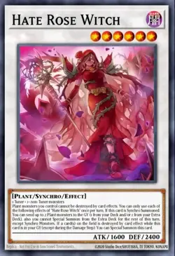 Yugioh Rage Rose Witch DOOD-EN040 1st Edition Ultra Rare NM Presale - Image 1