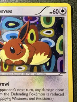The Pokemon Company Eevee Black & White BW94 Promo Holo English 60 HP TCG - Image 3