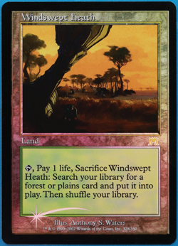 Windswept Heath FOIL Onslaught NM Land Rare MAGIC MTG CARD (ID# 502410) ABUGames - Image 1
