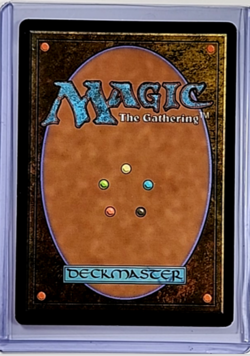MTG Magic The Gathering SLD Secret Lair Borderless Foil #2051 Skewer the Critics - Image 2