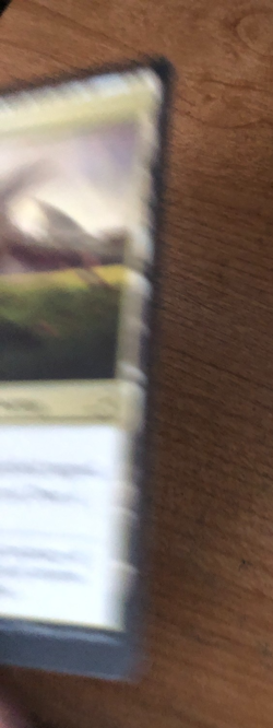 Mtg Savai Triome from Ikoria: Lair of Behemoths set - Image 3