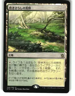 Magic the Gathering - Khans of Tarkir Windswept Heath 2014 248 Rare Japanese - Image 1