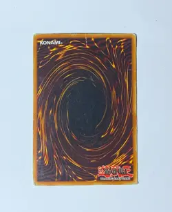 YuGiOh Spirit Ryu - SKE-023 - Common - MP - Starter Deck: Kaiba Evolution - Image 2