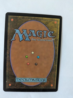 French Thornbite Staff Morningtide MTG Exc Free shipping with tracking - Image 2