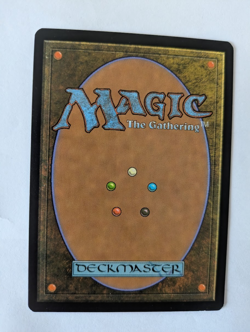 Chinese Thornbite Staff Morningtide MTG NM Free shipping with tracking - Image 2