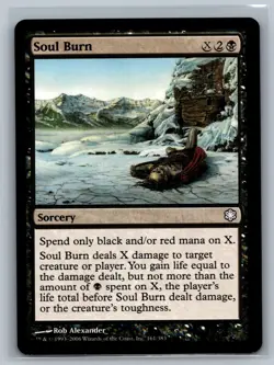 Magic MTG Coldsnap Theme Deck Reprints Soul Burn #161/383 TCG CCG - Image 1