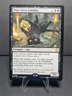 Nine-Lives Familiar Foundations Regular - Image 1