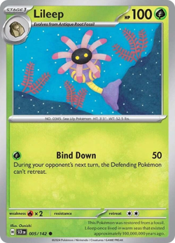Lileep 5/142 C Stellar Crown Reverse Holo NM/M Pokemon - Image 4